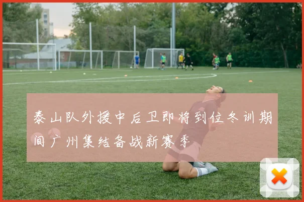 泰山队外援中后卫即将到位冬训期间广州集结备战新赛季